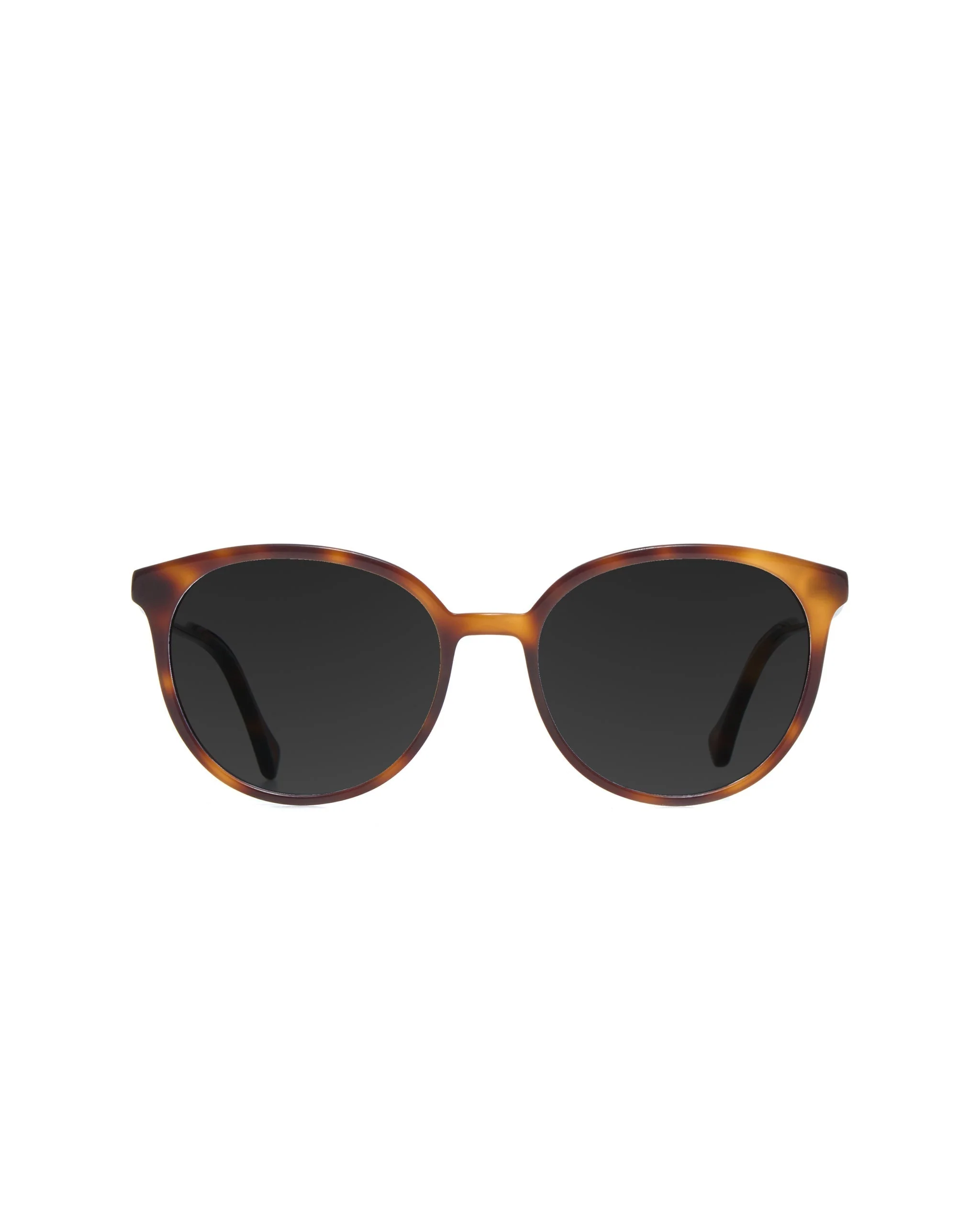 Elion Sunglasses Progressive - Image 2