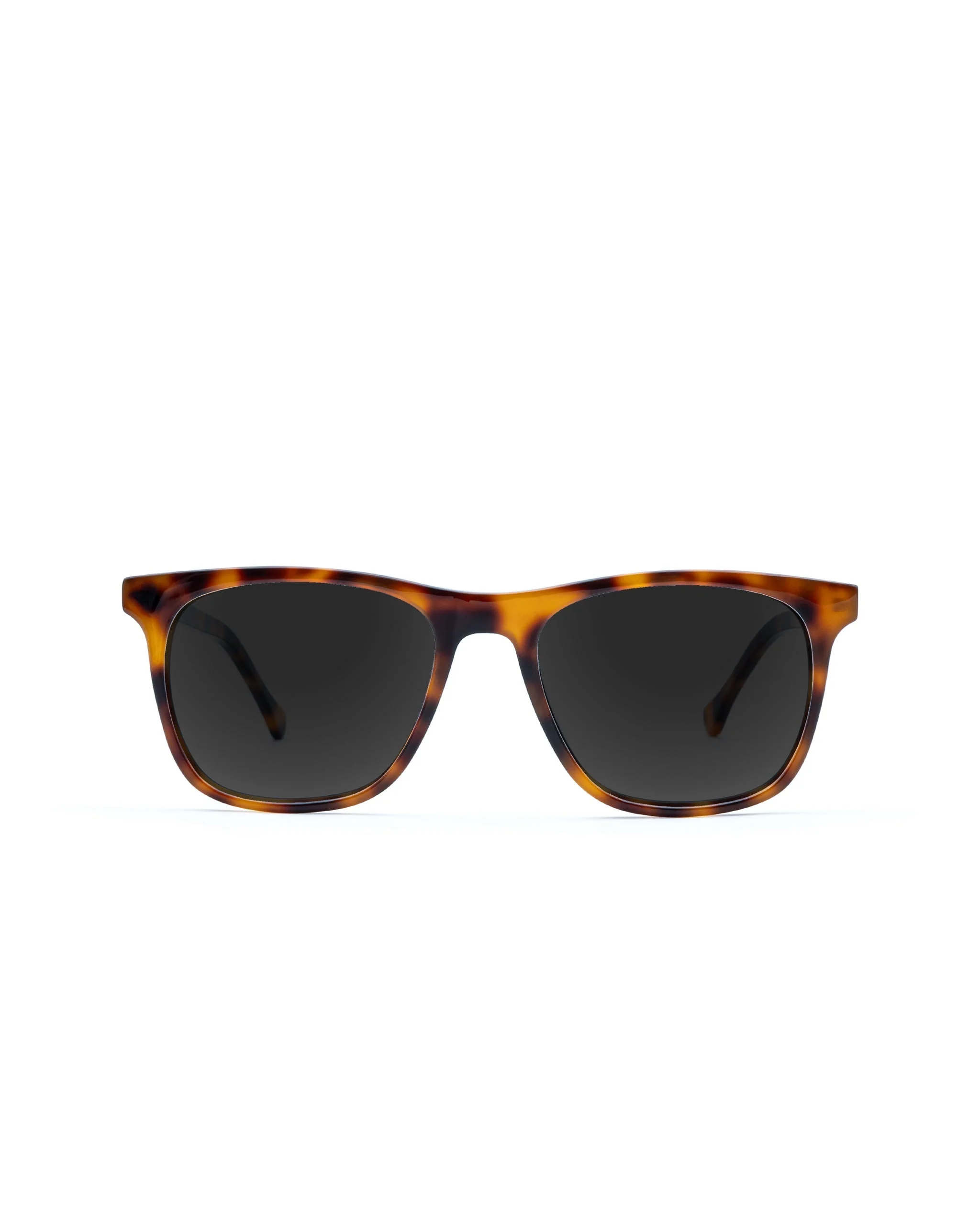 Jemison Sunglasses Progressive - Image 2