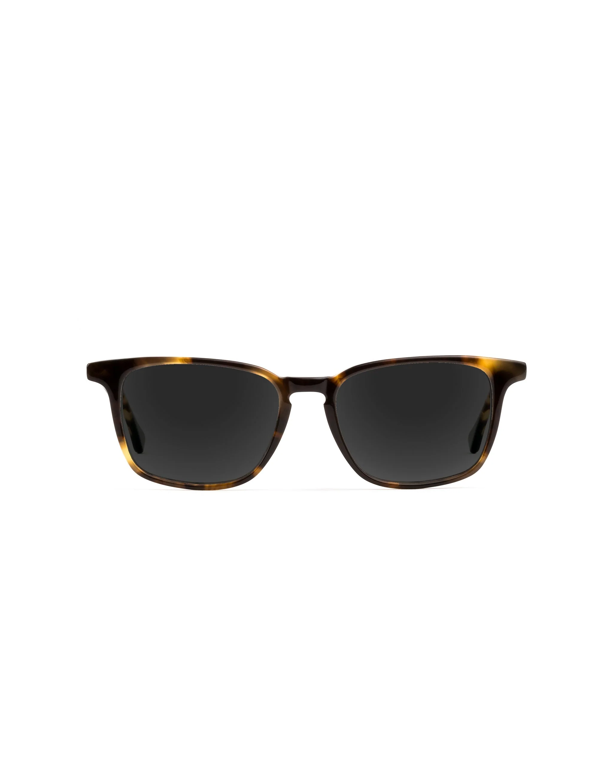 Nash Sunglasses Plano - Image 4