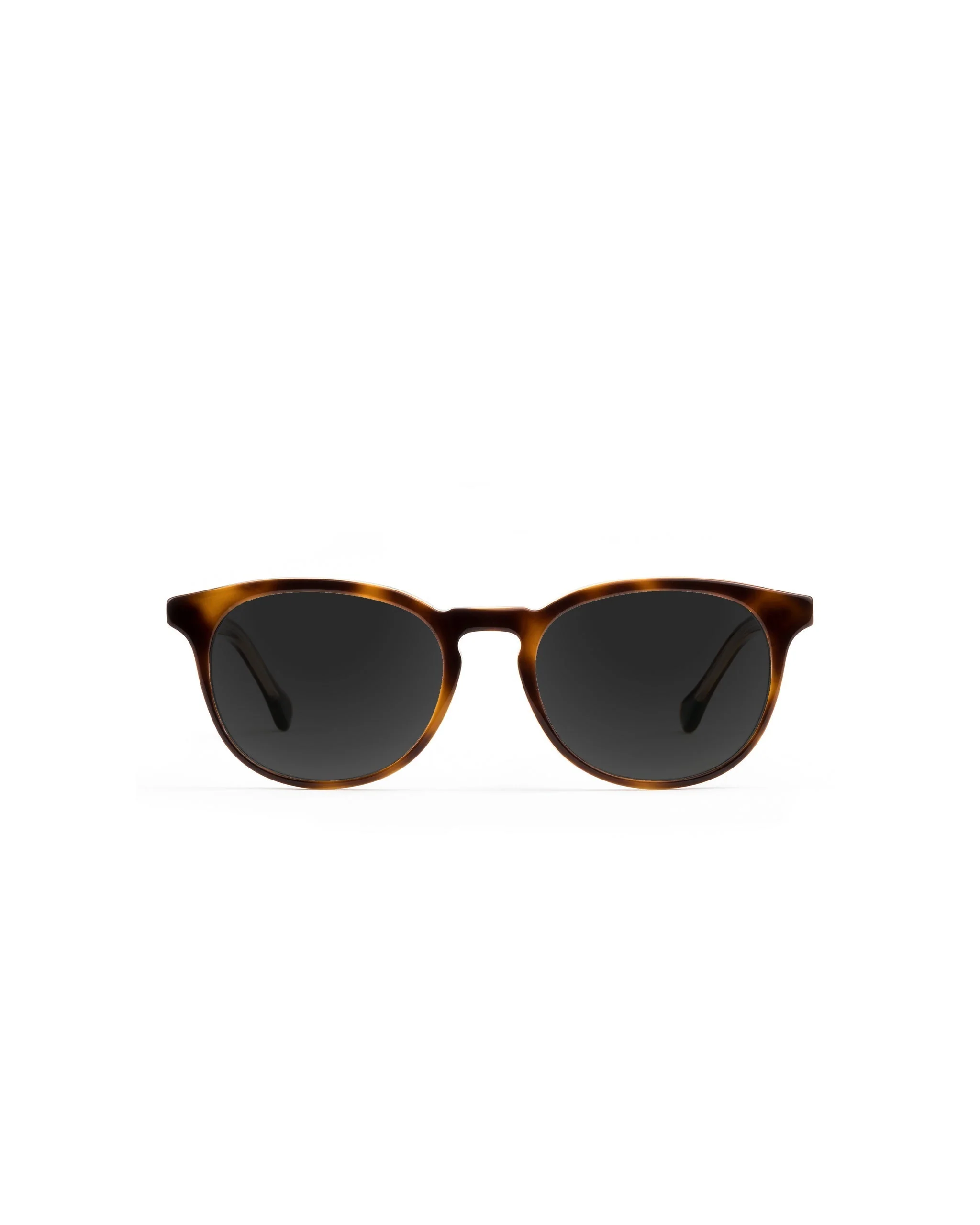 Roebling Sunglasses Progressive - Image 3